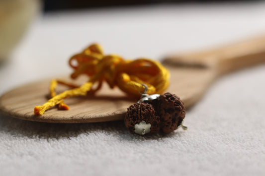 Gauri Shankar Rudraksha (Nepali)